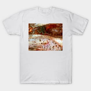 Sedimentary Rock 2 T-Shirt